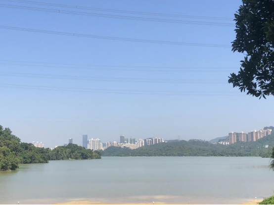 深圳風(fēng)向標(biāo)教育資源股份有限公司 深圳風(fēng)向標(biāo)教育資源股份有限公司