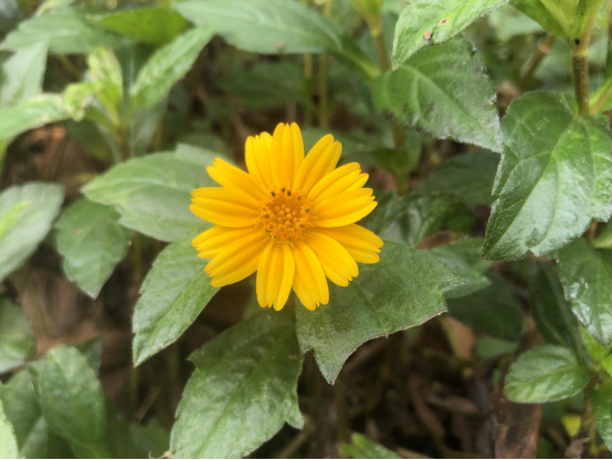 深圳風(fēng)向標(biāo)教育資源股份有限公司 深圳風(fēng)向標(biāo)教育資源股份有限公司