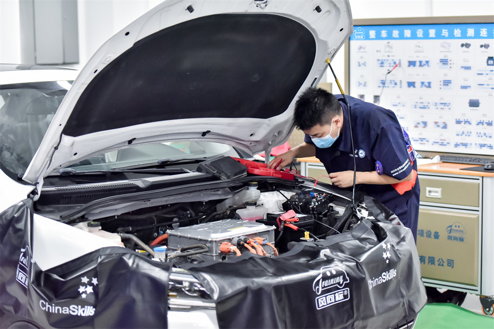 1660031937397633.jpg 2a.jpg